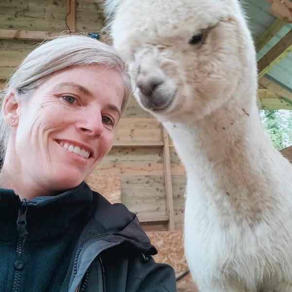 A smiling woman cheek to cheek with a white alpaca inside a wooden shelter.